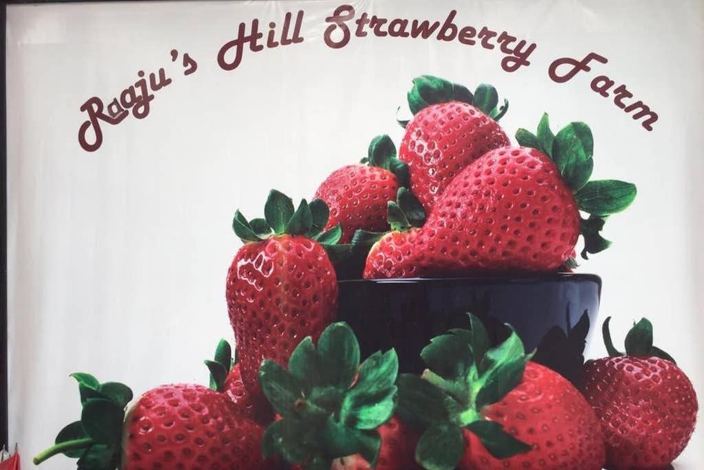 Lily Homestay Barrington Square Cameron Highlands. Brinchang Εξωτερικό φωτογραφία