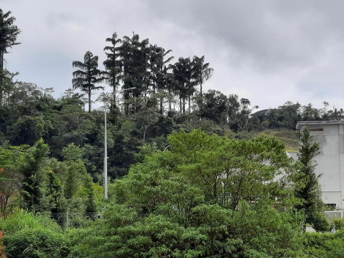 Lily Homestay Barrington Square Cameron Highlands. Brinchang Εξωτερικό φωτογραφία